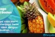 Cara Menjaga Berat Badan Secara Alami dengan Buah buahan Detoksifikasi