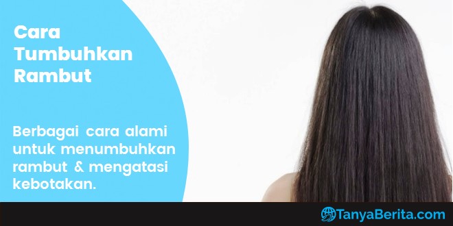 Cara Menumbuhkan Rambut Secara Alami dan Mengatasi Kebotakan