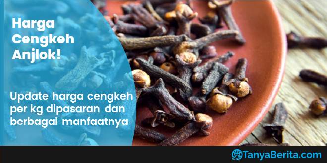 Harga Cengkeh per Kg Terbaru