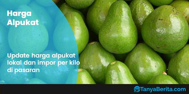 Harga Alpukat per Kg Terbaru