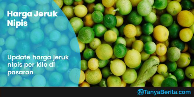Harga Jeruk Nipis Per Kilo Terbaru