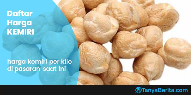 Harga Kemiri Per KG Terbaru