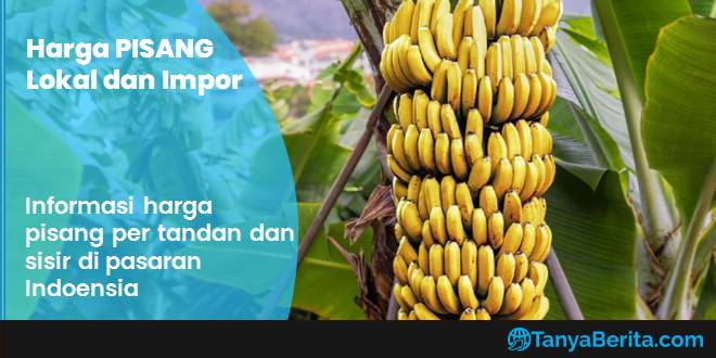 Harga Pisang Lokal Impor Terbaru