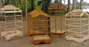 Update Harga Kandang Burung Murah Terbaru