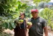 Bikin Penasaran! Ada Agrowisata Buah Meksiko di Tawangmangu Tempat Wisata Di Karanganyar Terbaru Februari 2022