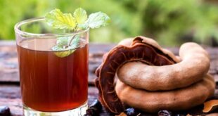 Harga Asam Jawa per KG Terbaru