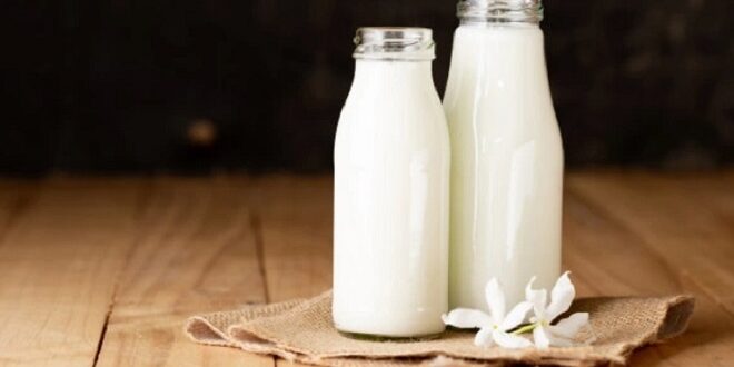Manfaat Susu Segat Untuk Kesehatan