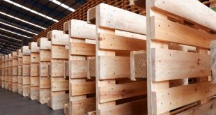Seperti Apa Pallet Kayu yang Kualitasnya Bagus
