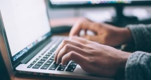 Contoh CV Lamaran Kerja PDF yang Menarik dan Profesional