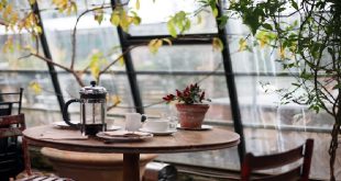 The Drop In, Kedai Kopi Favorit di Chicago yang Menghadirkan Kenyamanan dan Kualitas di Setiap Cangkir