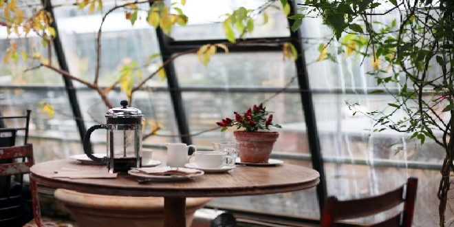 The Drop In, Kedai Kopi Favorit di Chicago yang Menghadirkan Kenyamanan dan Kualitas di Setiap Cangkir