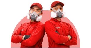 Waspada Serangan Rayap di Jakarta, Ini Solusi Perlindungan Bangunan yang Tepat