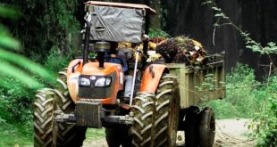 Permintaan Traktor Kubota Meningkat Seiring Adopsi Teknologi Pertanian Modern di Indonesia