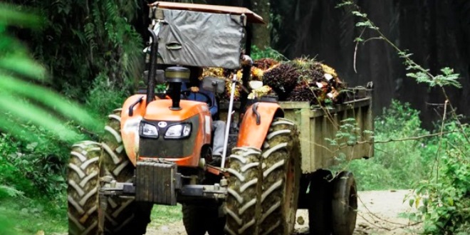 Permintaan Traktor Kubota Meningkat Seiring Adopsi Teknologi Pertanian Modern di Indonesia