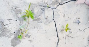 Cat Lantai Cepat Retak Cek Kondisi Beton Sebelum Aplikasi