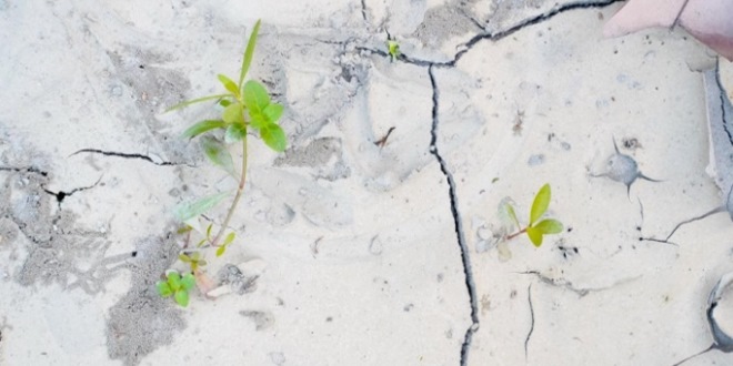 Cat Lantai Cepat Retak Cek Kondisi Beton Sebelum Aplikasi