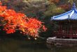 Tips Pertama Kali Ikut Tour Korea yang Perlu Diketahui