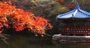 Tips Pertama Kali Ikut Tour Korea yang Perlu Diketahui