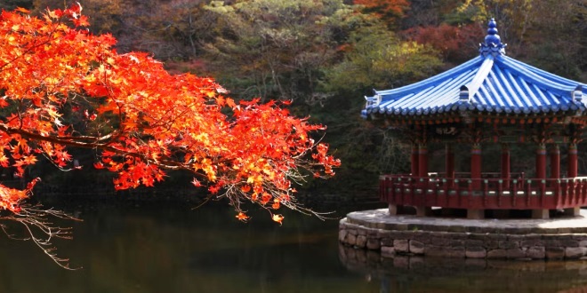 Tips Pertama Kali Ikut Tour Korea yang Perlu Diketahui